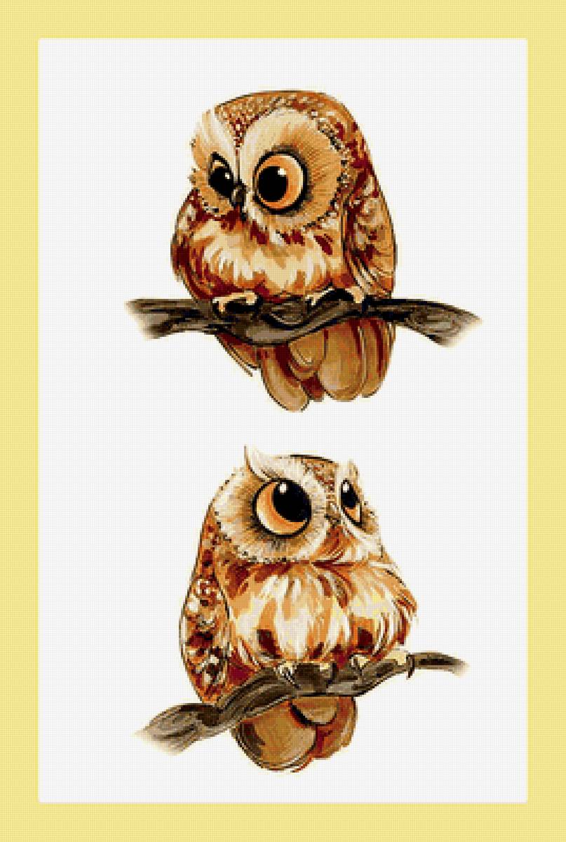 Серия "Птицы". Совушки - фауна, птицы, совы - предпросмотр