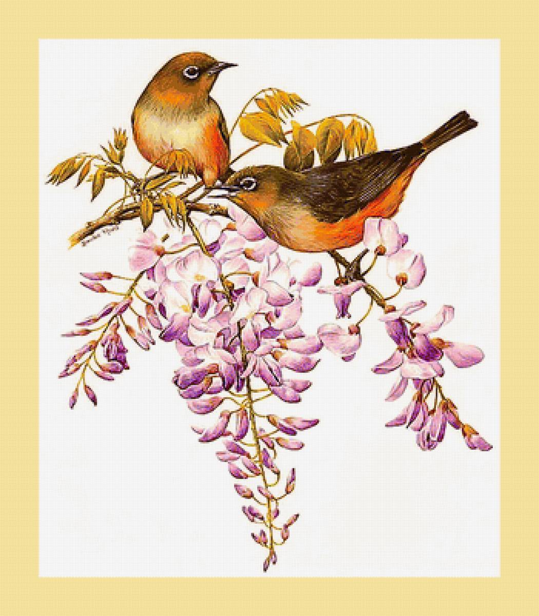 Серия "Птицы" - фауна, птицы - предпросмотр