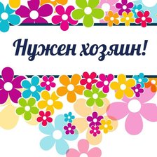 Схема вышивки «Нужен хозяин»