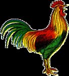 Схема вышивки «Петух»