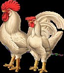 Схема вышивки «Петух»