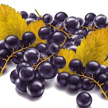 Схема вышивки «ягодки»