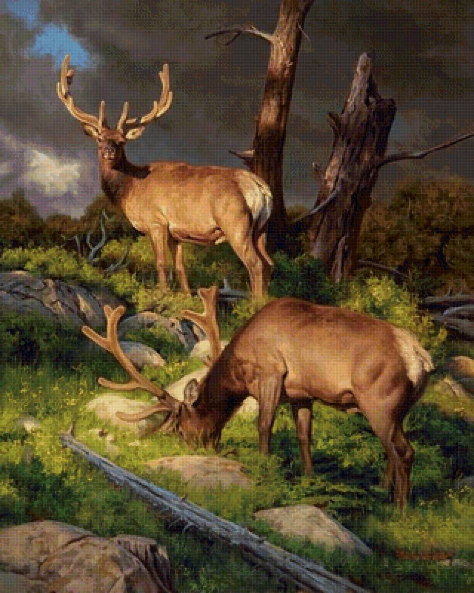 дикие - предпросмотр