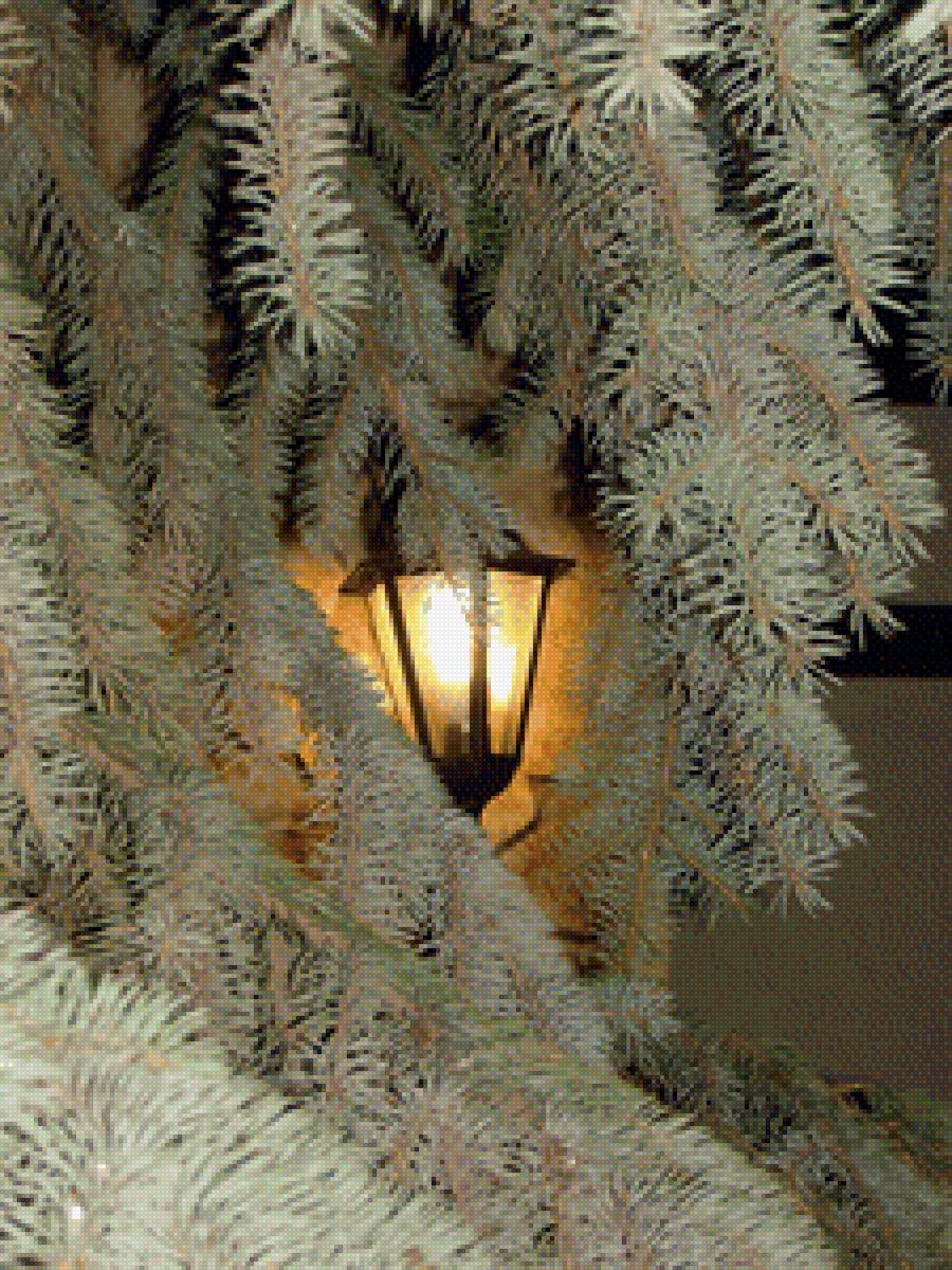 Фонарь - пейзаж, фонарь, елка, город - предпросмотр