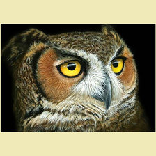 Схема вышивки «Сова.»