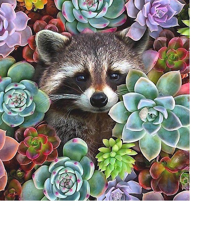 №2047494 - оригинал