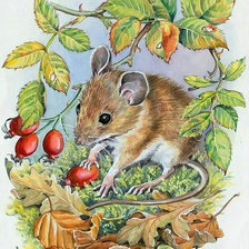 Схема вышивки «№2047535»