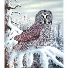 Схема вышивки «Серия "Птицы". Сова»