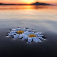 Схема вышивки «закат»