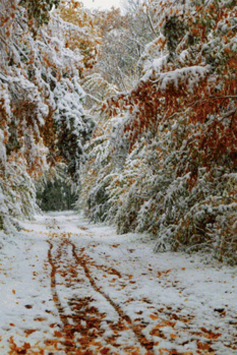Зимний лес - зима, лес - предпросмотр