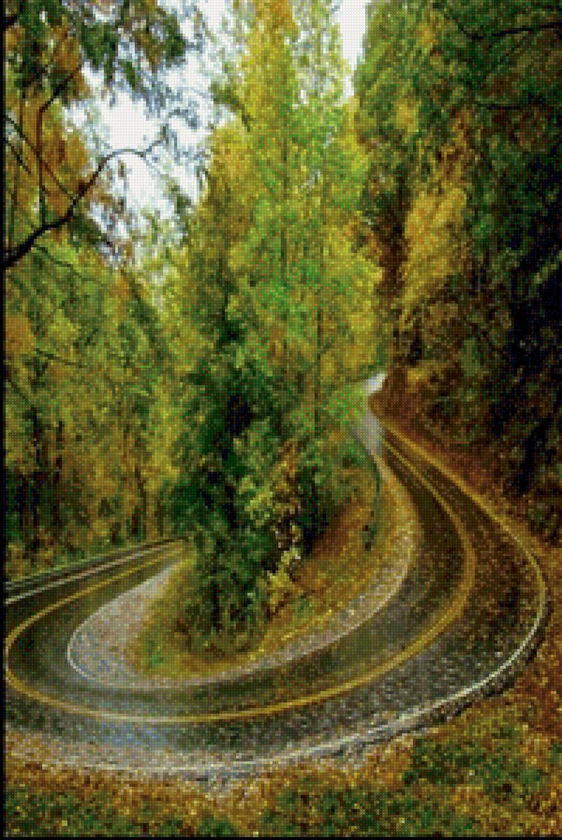 Летний лес - лес, лето, дорога - предпросмотр