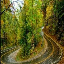 Схема вышивки «Летний лес»