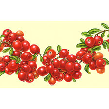 Схема вышивки «Клюква.»