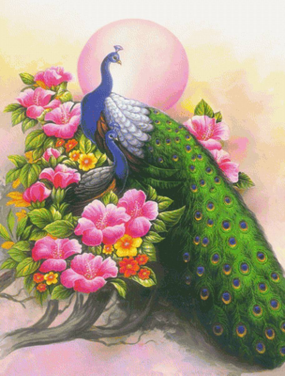 pav,kvety - предпросмотр