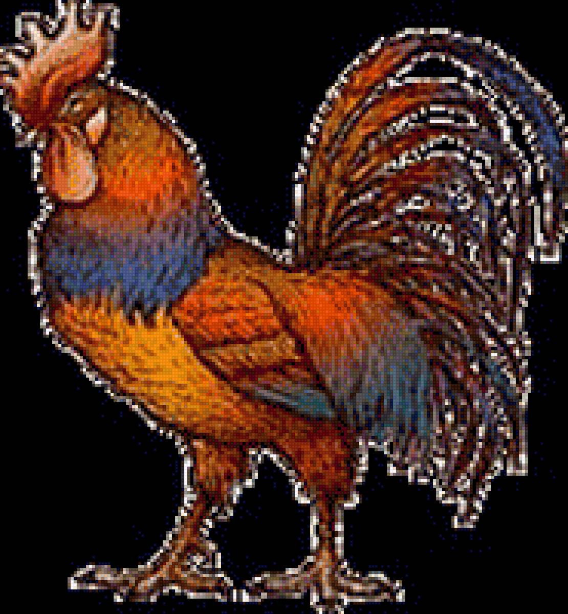 Петух - картинка, петух, птица - предпросмотр