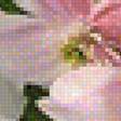 Предпросмотр схемы вышивки «нежность» (№2047744)