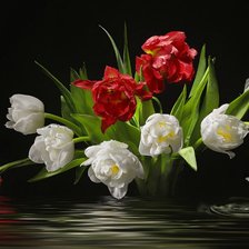 Схема вышивки «отражение»