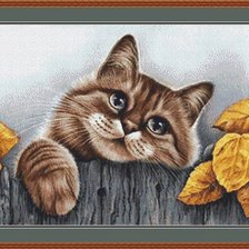 Схема вышивки «Кот на заборе»