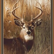 Схема вышивки «Олень»