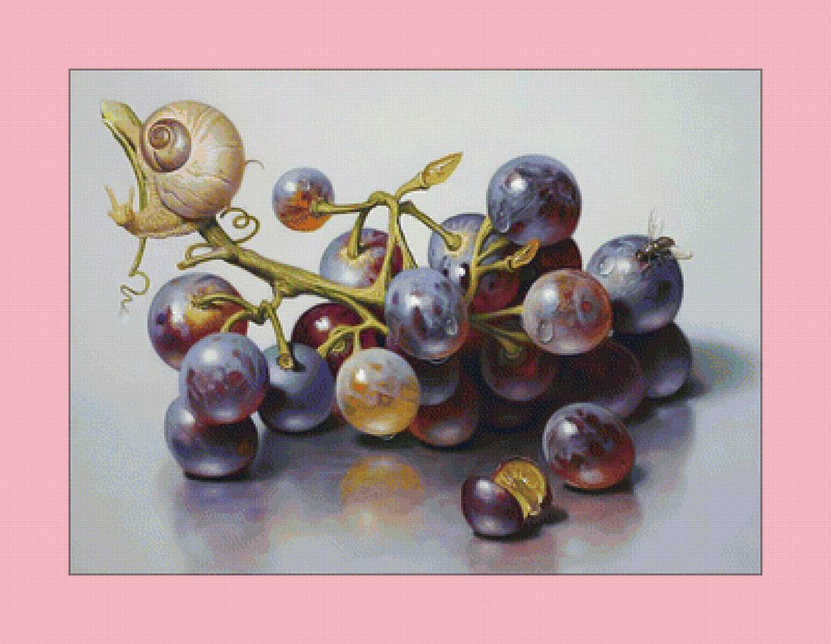 Виноград. - улитка, виноград, натюрморт, живопись - предпросмотр