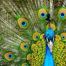 Схема вышивки «№2047997»