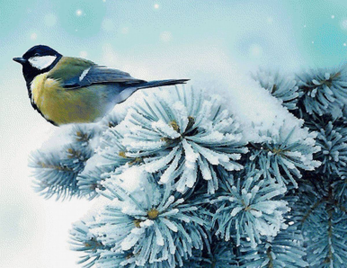 №2048003 - предпросмотр