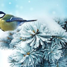 Схема вышивки «№2048003»