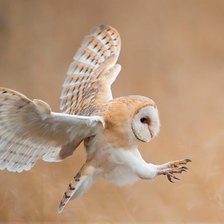 Схема вышивки «№2048046»