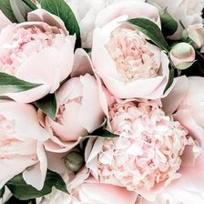 Схема вышивки «№2048064»