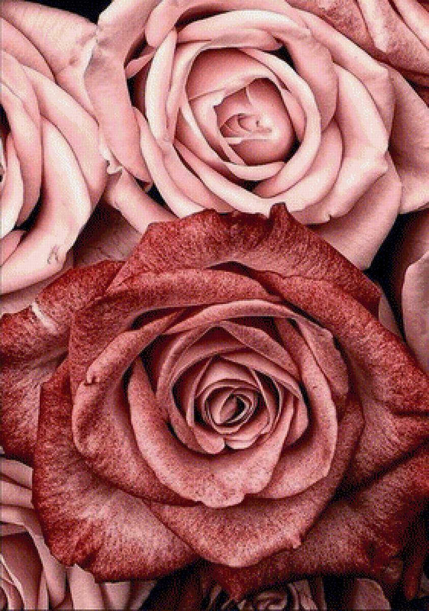 №2048078 - натюрморт с розами - предпросмотр