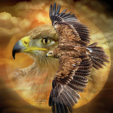 Схема вышивки «орел»