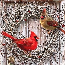 Схема вышивки «птицы»