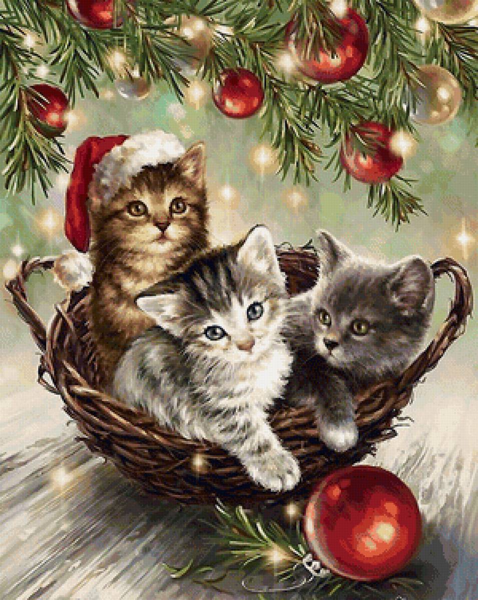 котята - котята, корзина, праздник - предпросмотр