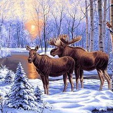 Схема вышивки «дикие»