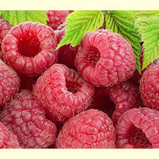 Схема вышивки «№2048327»