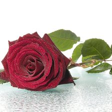 Схема вышивки «№2048353»