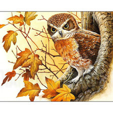 Схема вышивки «Совушка.»