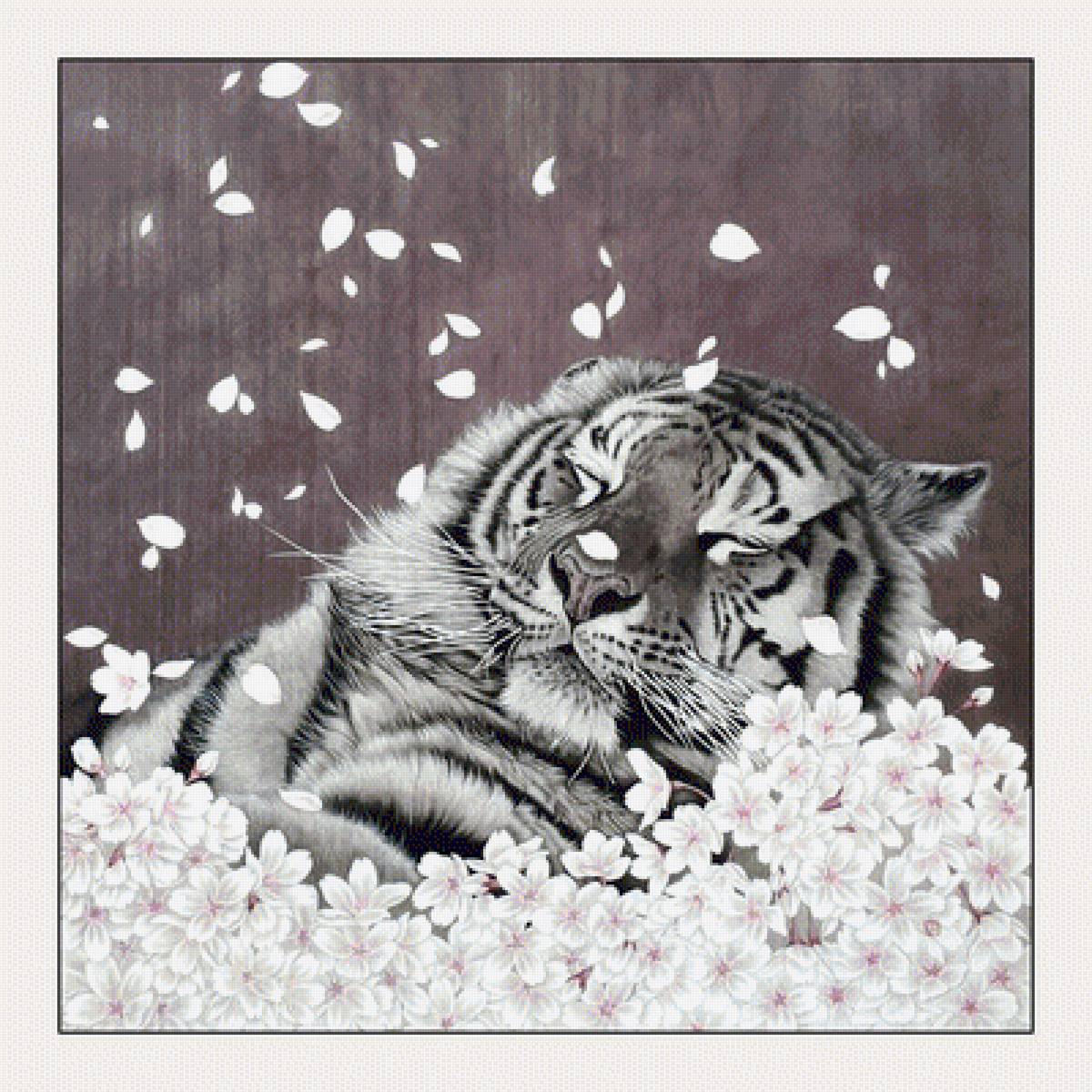 №2048371 - животные, хищники, тигры, тигр - предпросмотр