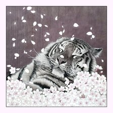 Схема вышивки «№2048371»