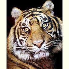 Схема вышивки «№2048374»