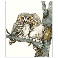 Схема вышивки «Совушки.»
