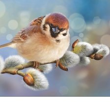 Схема вышивки «№2048444»