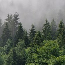 Схема вышивки «№2048519»