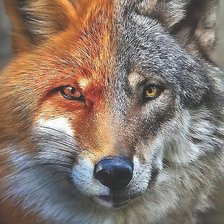 Схема вышивки «№2048731»