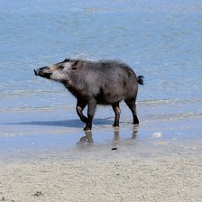 Схема вышивки «№2048744»