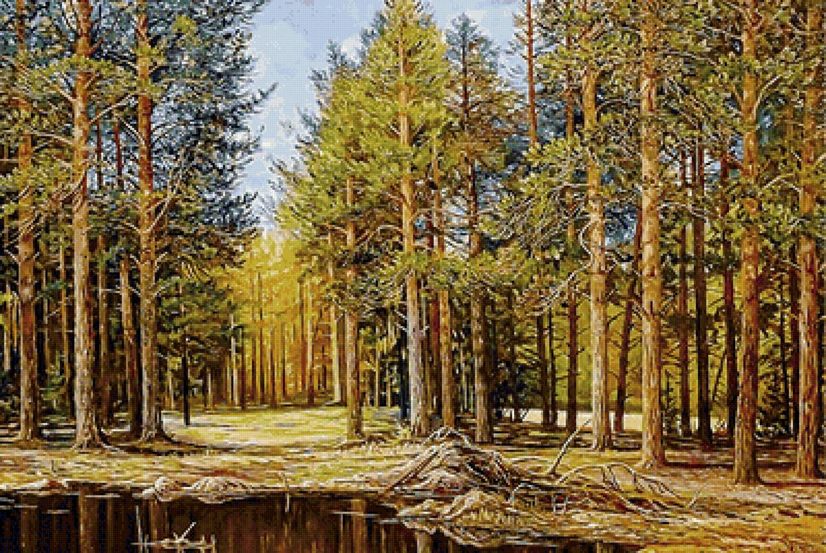 лесной пейзаж - пруд, лес, пейзаж, сосны - предпросмотр