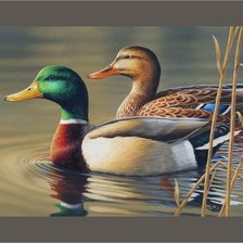 Схема вышивки «птицы»