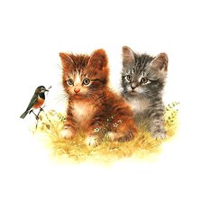 Схема вышивки «№2048818»