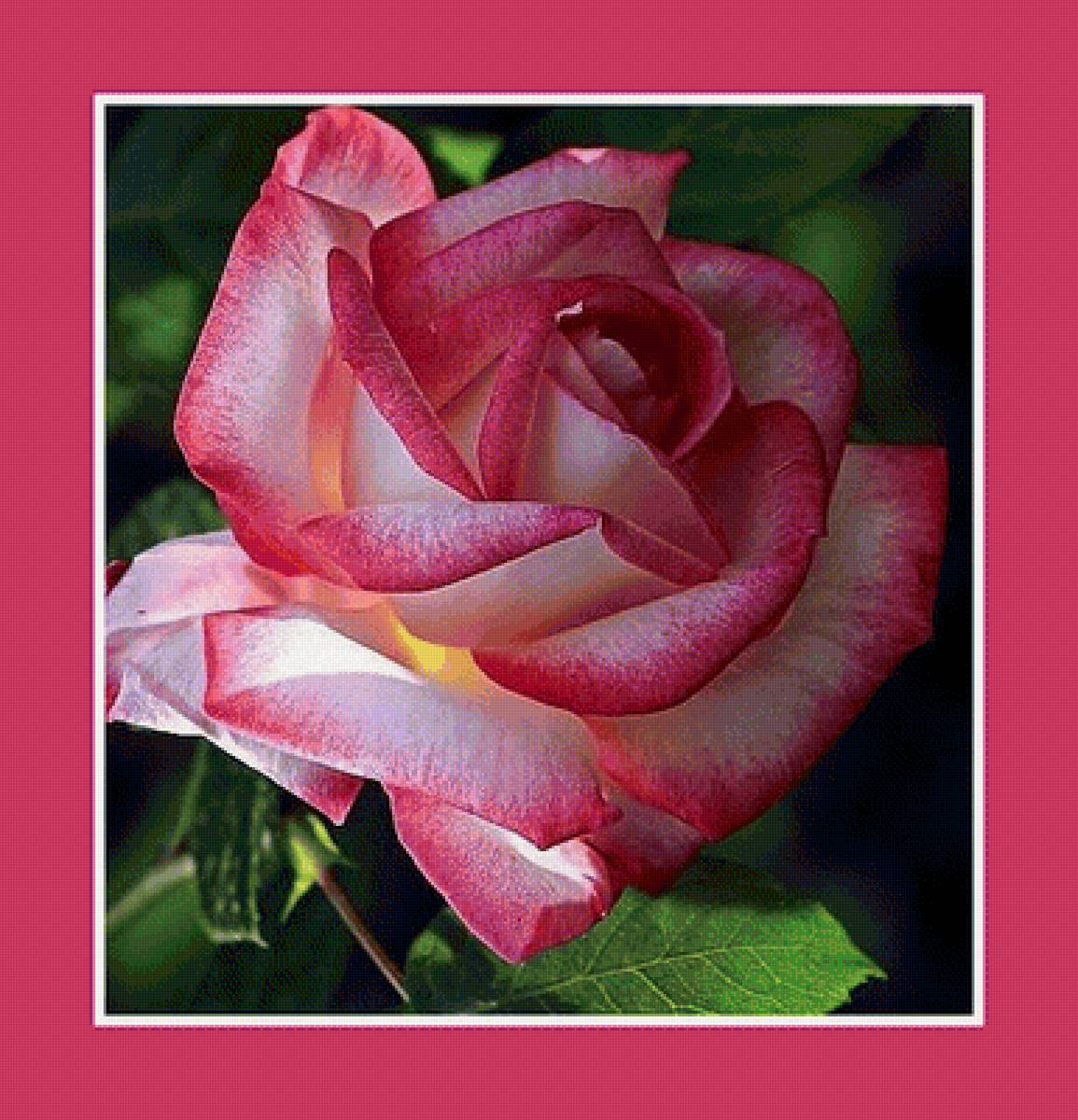 цветы - предпросмотр