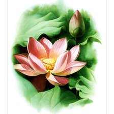 Схема вышивки «Лотос»